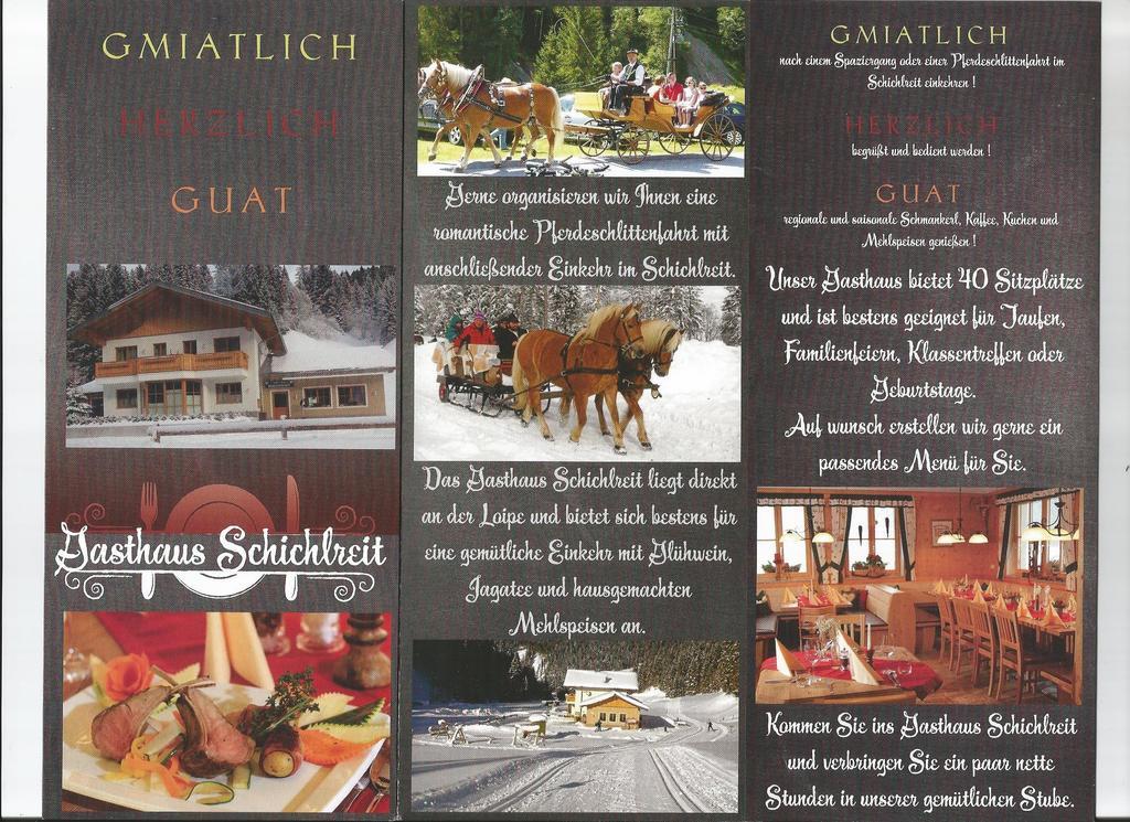 Schwarzenbacher Lungötz Стая снимка