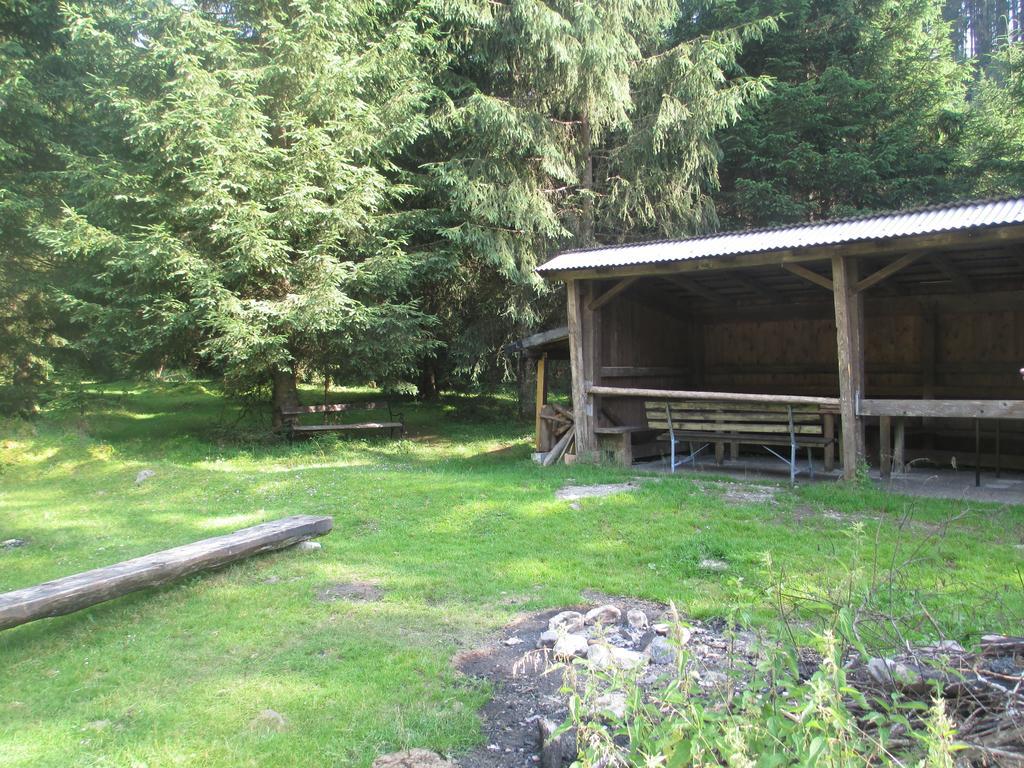Schwarzenbacher Lungötz Стая снимка