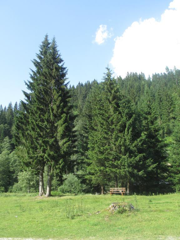 Schwarzenbacher Lungötz Стая снимка