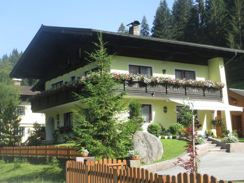 Schwarzenbacher Lungötz Стая снимка