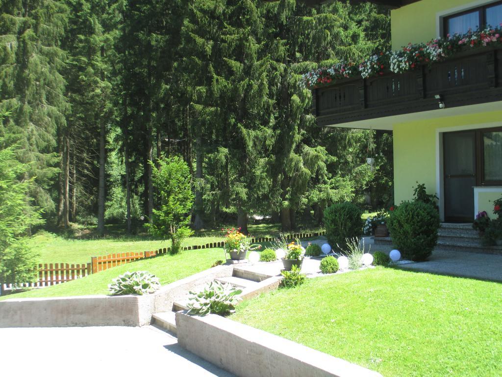 Schwarzenbacher Lungötz Стая снимка
