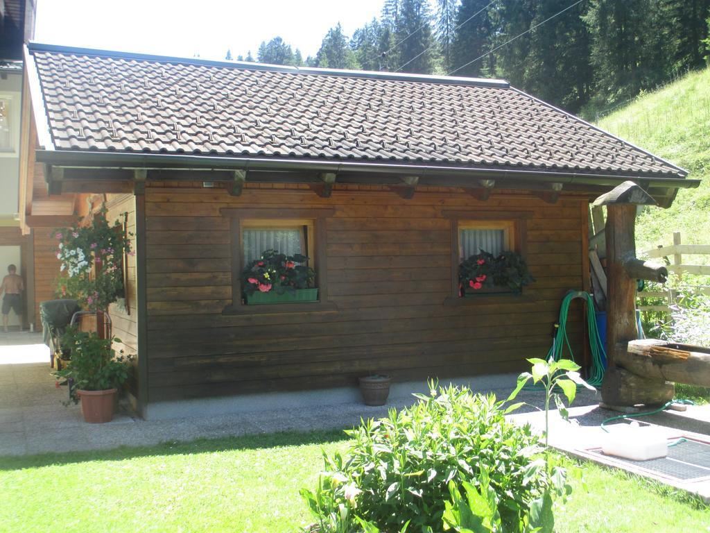 Schwarzenbacher Lungötz Стая снимка