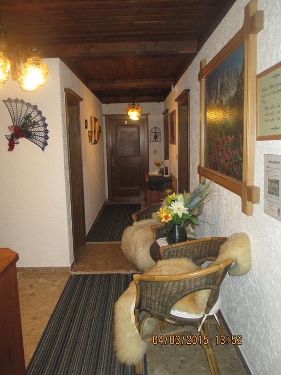 Schwarzenbacher Lungötz Стая снимка